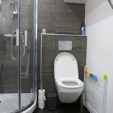 Appart Touriste Lyon Room photo