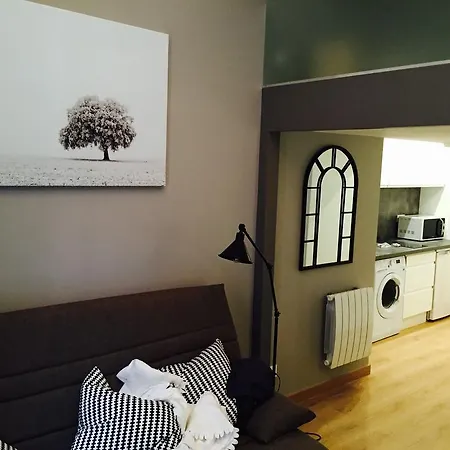 Appart Touriste Lyon Room photo